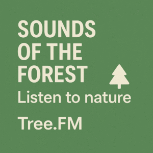 Listen to the Sounds of the forest